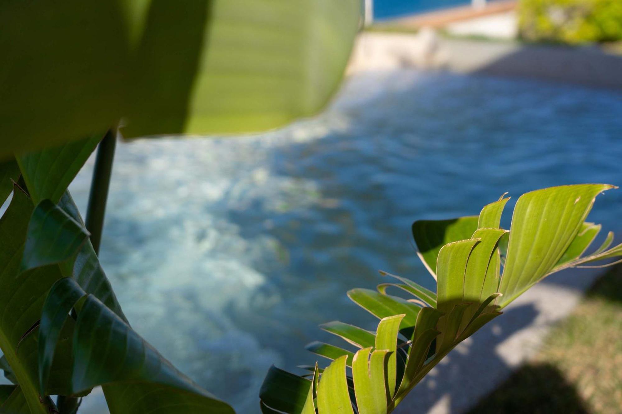 Villa Zagara Garden Spectacular Sea View In Taormine Extérieur photo